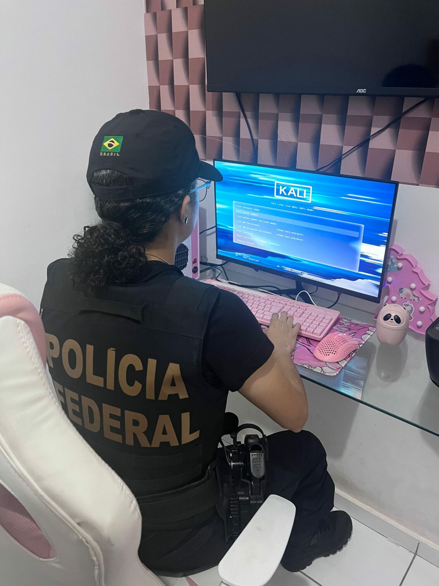 PF investiga em São Luís suspeito de compartilhar imagens de abuso sexual infanto-juvenil